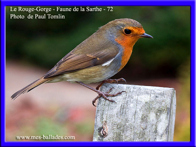 La Faunebrde La Sarthebr72